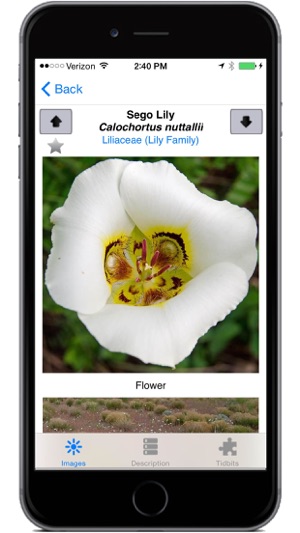 Flora of the Wasatch(圖4)-速報App