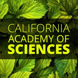 California Academy of Sciences Visitor Guide