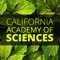 California Academy of Sciences Visitor Guide