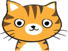 Orange Cat Cute