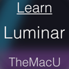 Learn - Luminar Edition pour PC