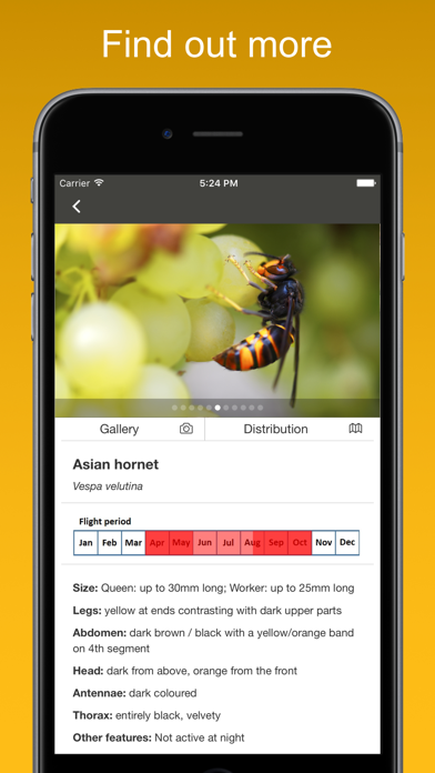 How to cancel & delete Asian Hornet Watch from iphone & ipad 3