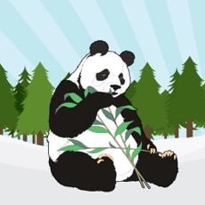 Activities of Panda Forest Jump