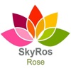 Skyros-rose