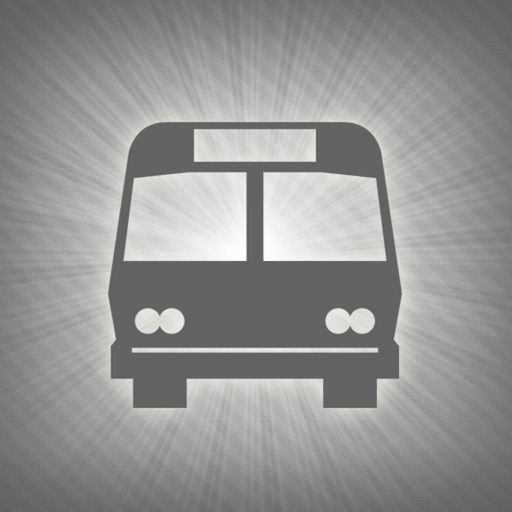 Spb Transport Online