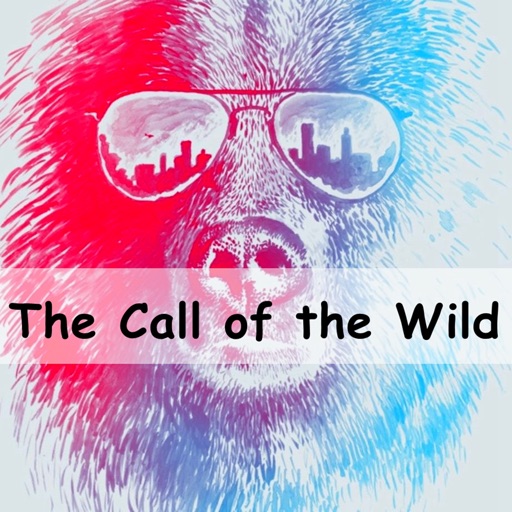 Quick Guide for The Call of the Wild-Key Insights