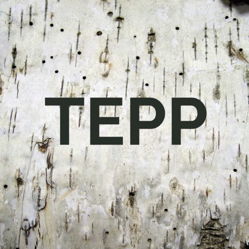 TEPP-TEACHING ENGLISH PROSODY