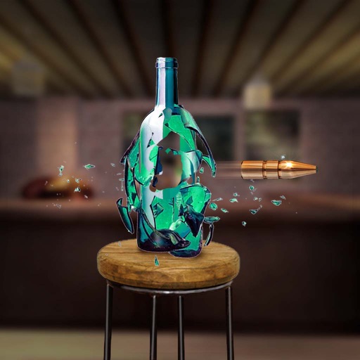 Bottle Shoot 3D Challenge Game