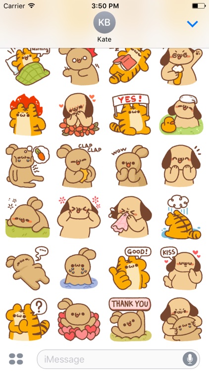 Dongle Animal Stickers