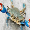 Puzzle Sea Crab Games For Kids Educational
