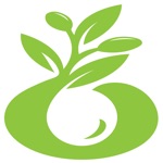 Olives Academy