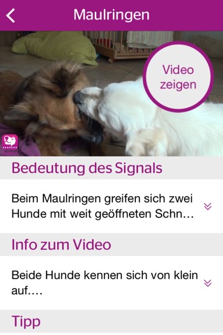 DogDict screenshot 3