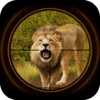 Wild Hunting Jungle Animals Pro