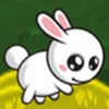 Cute Little Bunny Mini Escape