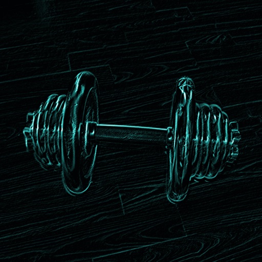 GymLogs icon