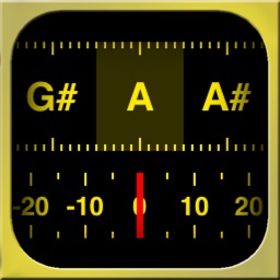 In-Tune Instrument Tuner