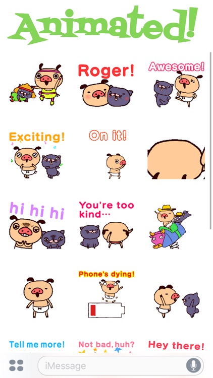 Funny Piggy Animated
