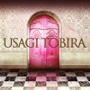 脱出ゲーム-USAGI TOBIRA