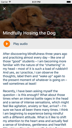 Present Mind - Mindfulness(圖3)-速報App