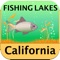 Best lakes for fishing in the State