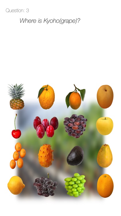 Fruits Quiz Touch :: simple trivia game