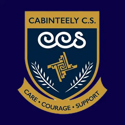 Cabinteely Community School Читы