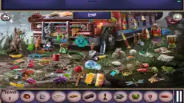 Game screenshot Hidden Objects: Mystery of Soul hack