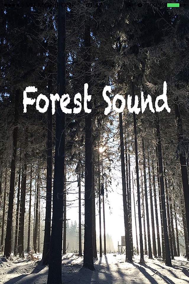 Forest Sounds - Forest Music,Sound Therapy screenshot 2