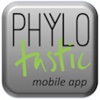 Phylotastic