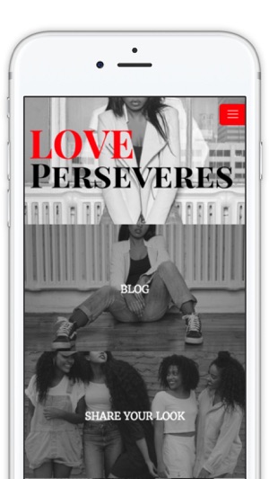 Love Perseveres