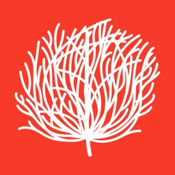 Tumbleweed - News