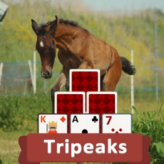 Activities of TriPeaks Horses