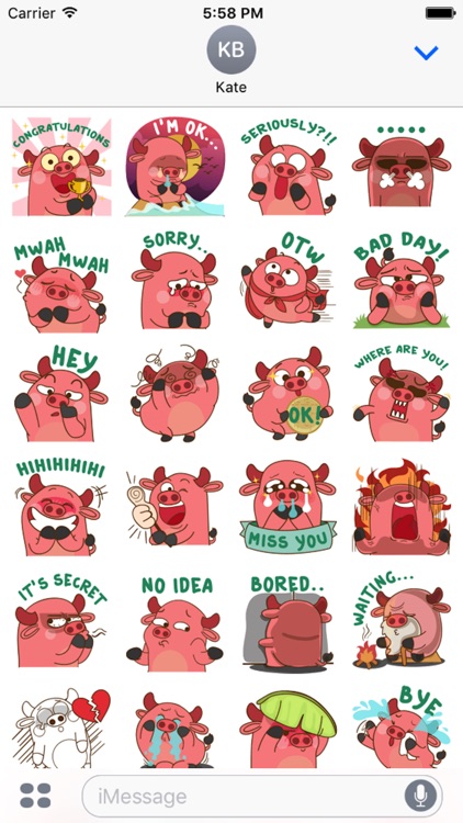 Funny Angry Pig