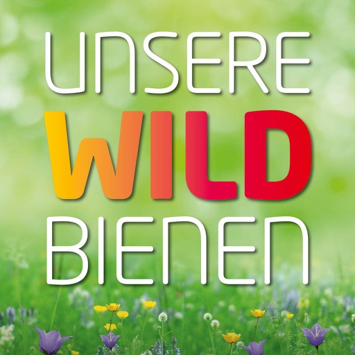 Unsere Wildbienen