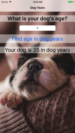 Dog Years - Fun And Simple Converter For Dog Years(圖4)-速報App