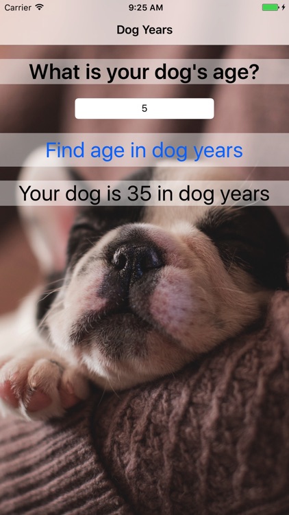 Dog Years - Fun And Simple Converter For Dog Years screenshot-3