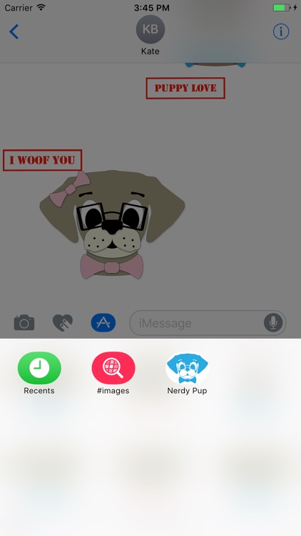 Nerdy Pup screenshot-4