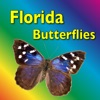 Southern Florida Butterflies