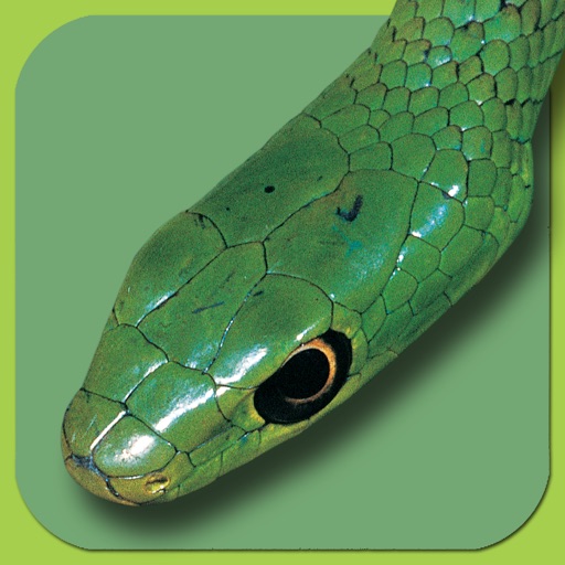 eSnakes of Southern Africa LITE icon