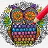 Recolor: Coloring Book Pigment For Adults