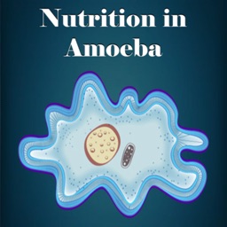 Nutrition in Amoeba