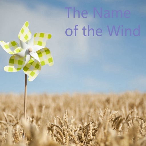 Quick Wisdom from The Name of the Wind