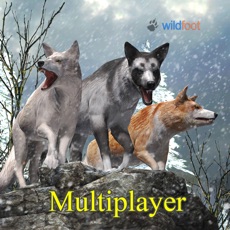 Activities of Wolf World Multiplayer