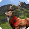 Deer target hunting Forest 3D