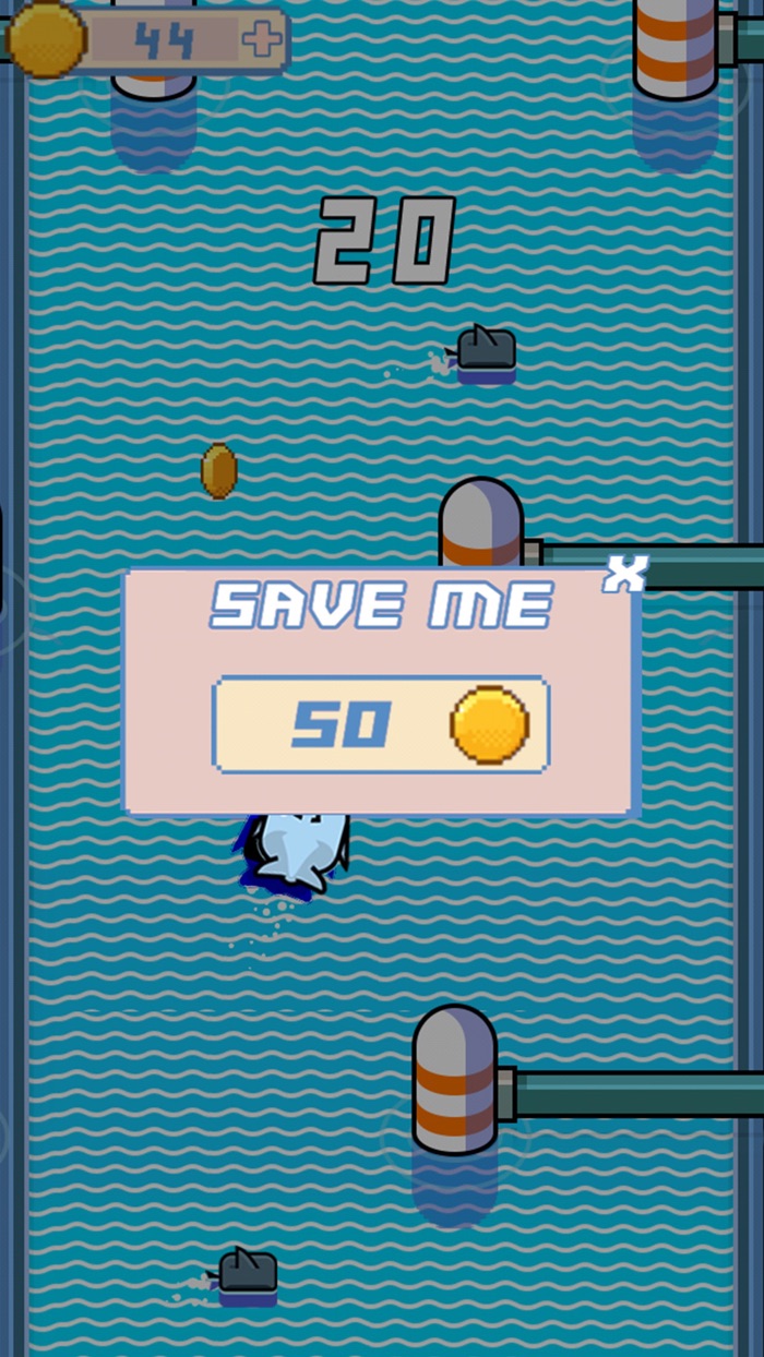 Dolphin Racing - Fish Bubble Adventure Game