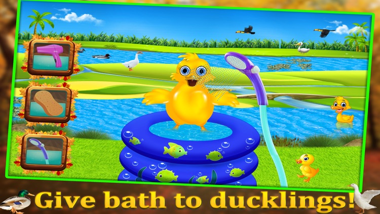 Duckling Pet Care & Hatching- Animal Spa Salon screenshot-3