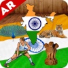 4D India