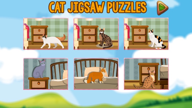 Cat Jigsaw Puzzles 2017