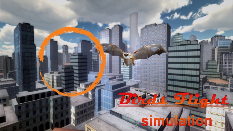 Birds Flight Simulation 3D screenshot-4