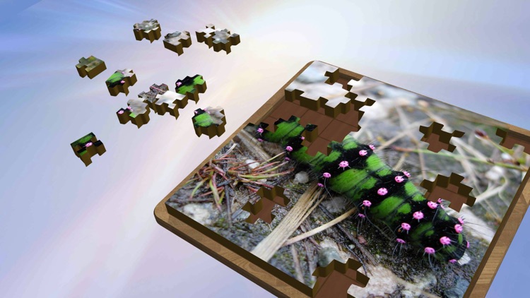 Super Jigsaws Bugs & Creatures screenshot-3